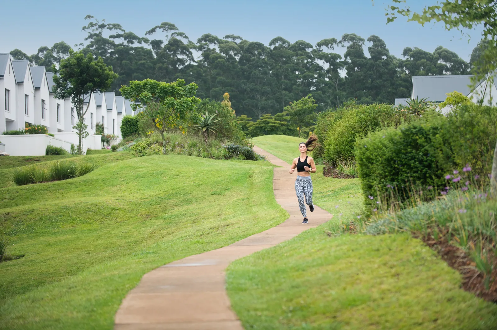 Pathways to the sports facilities