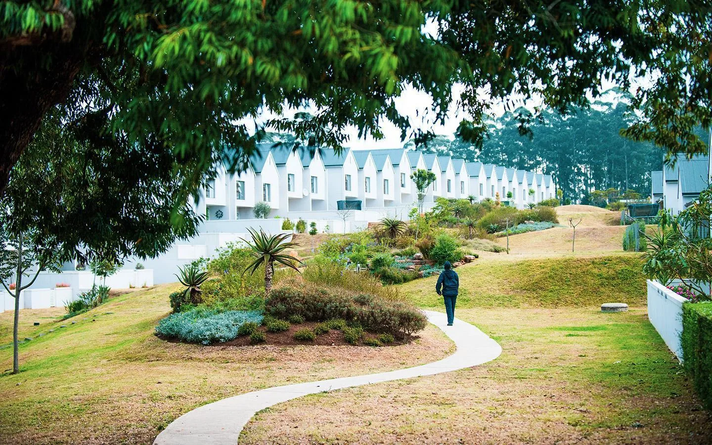 Safe walking paths within the estate